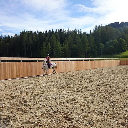Bio-Bauernhof Kurzeck Villa Goestling an der Ybbs Luaran gambar